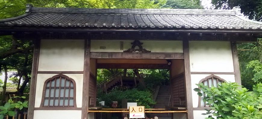 明月院（あじさい寺）フォト2